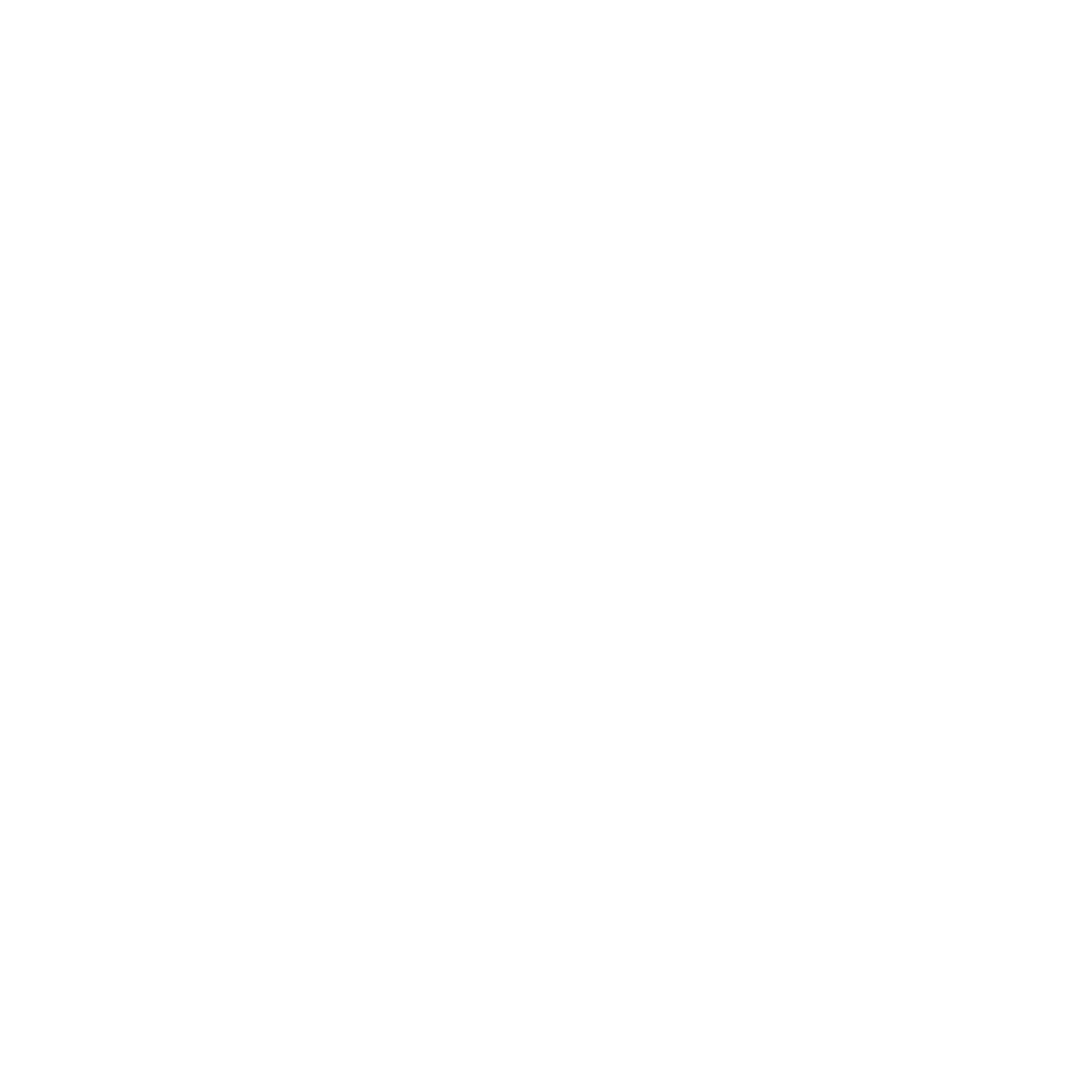 Logo_Blacklion White