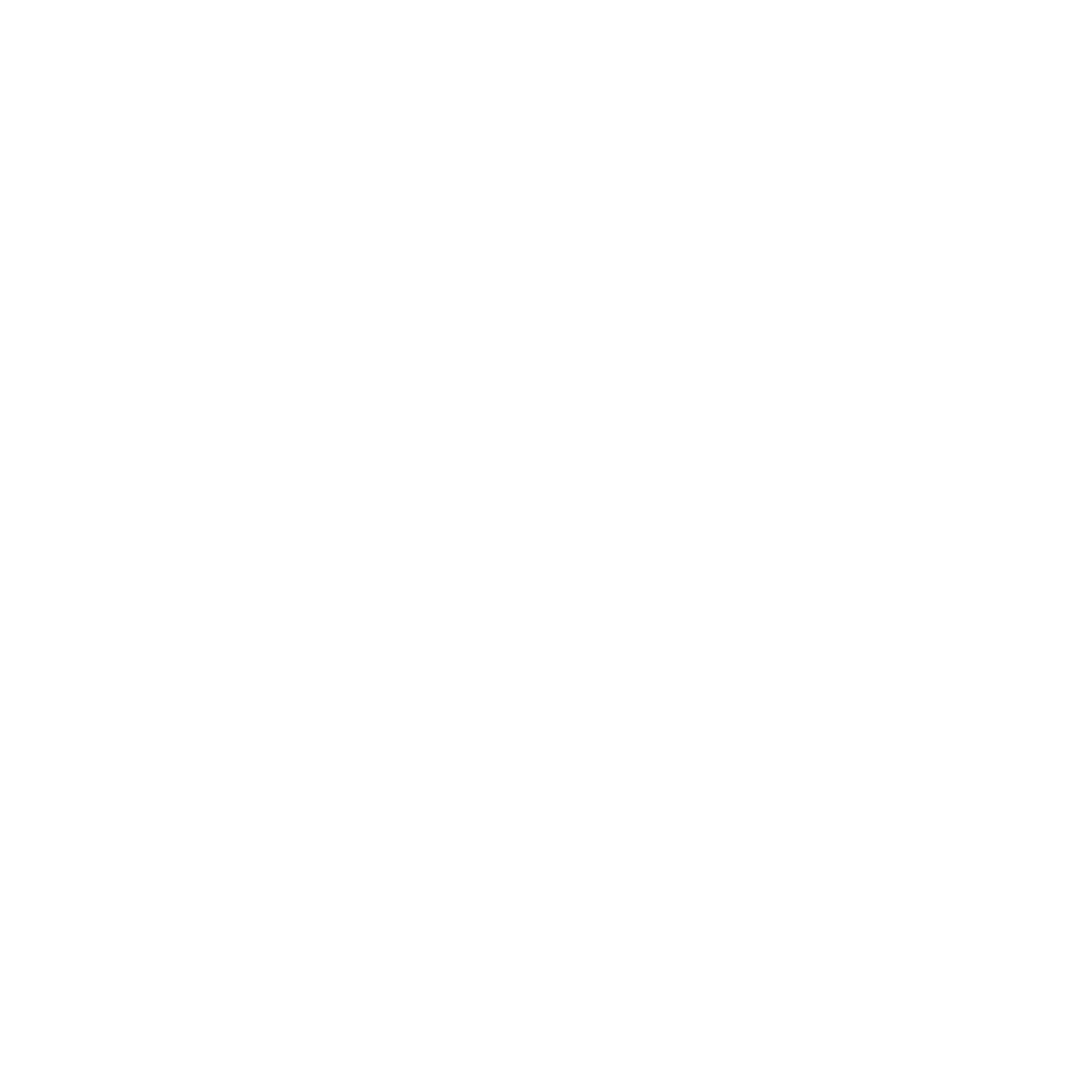 Logo_Neumaster White